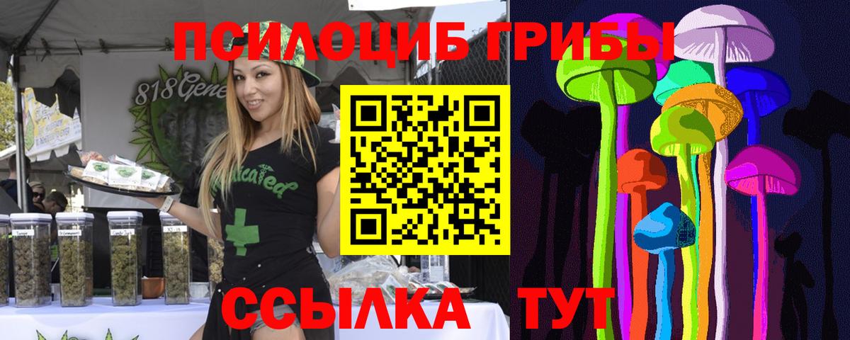 Псилоцибиновые грибы ЛСД Нальчик