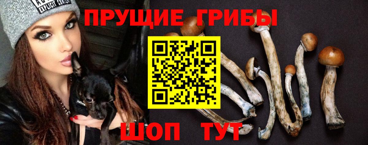 Галлюциногенные грибы Magic Shrooms  Галлюциногенные грибы ЛСД  Нальчик  Вход с VPN 